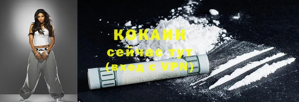 гидра Белоозёрский